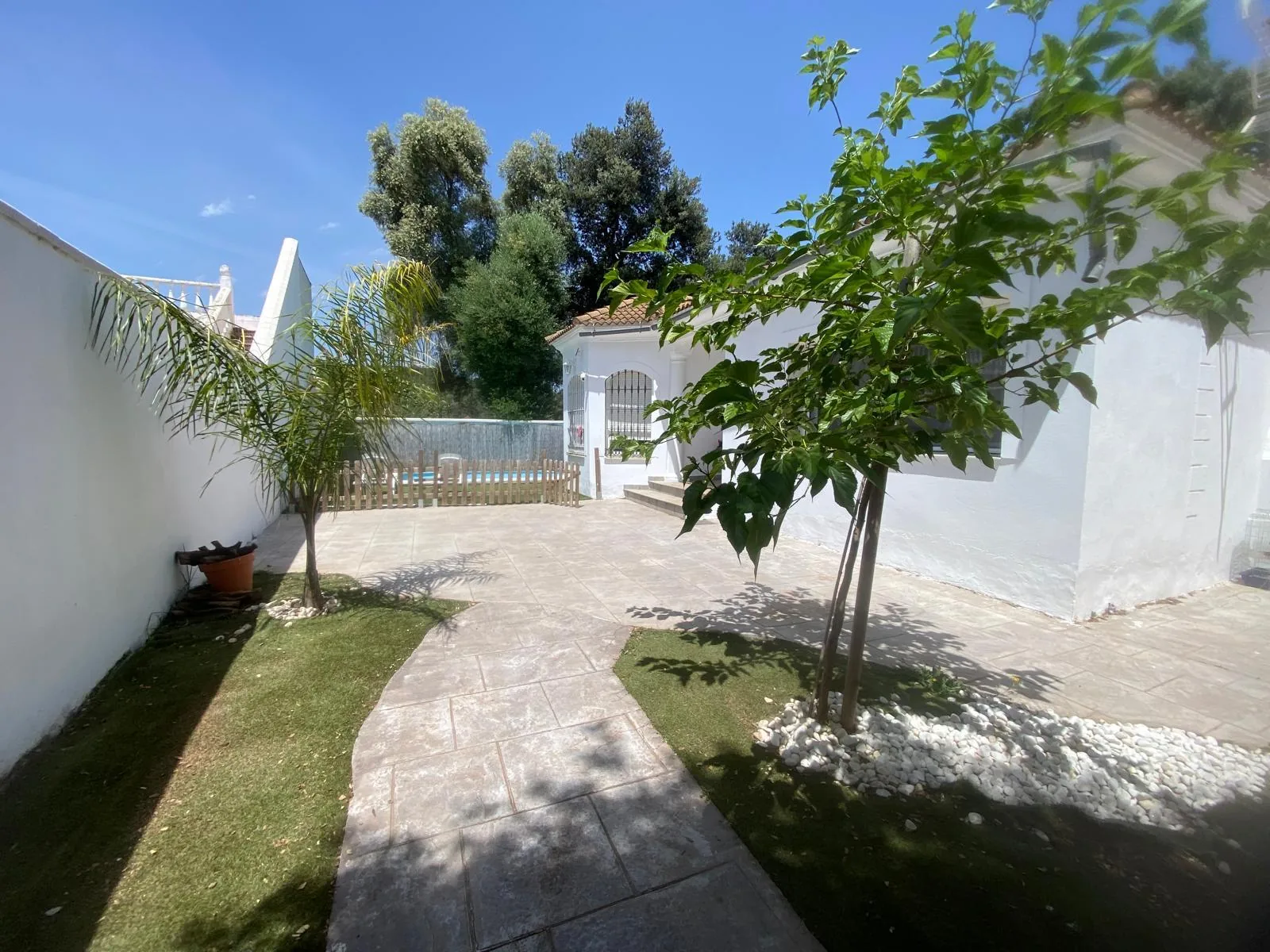 Camino que se ensancha junto a un árbol al aproximarse a la entrada