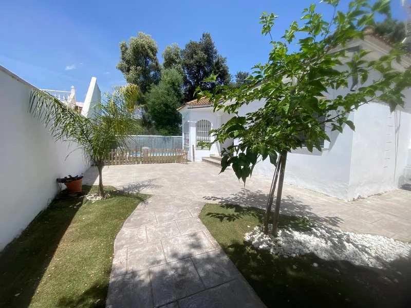 Camino que se ensancha junto a un árbol al aproximarse a la entrada